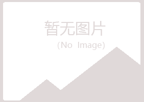 甘肃雅山化学有限公司